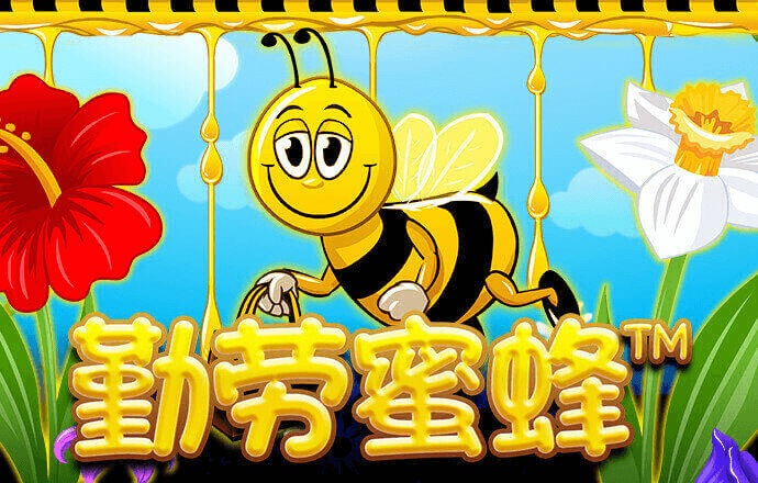 斗球体育app手机版下载截图0